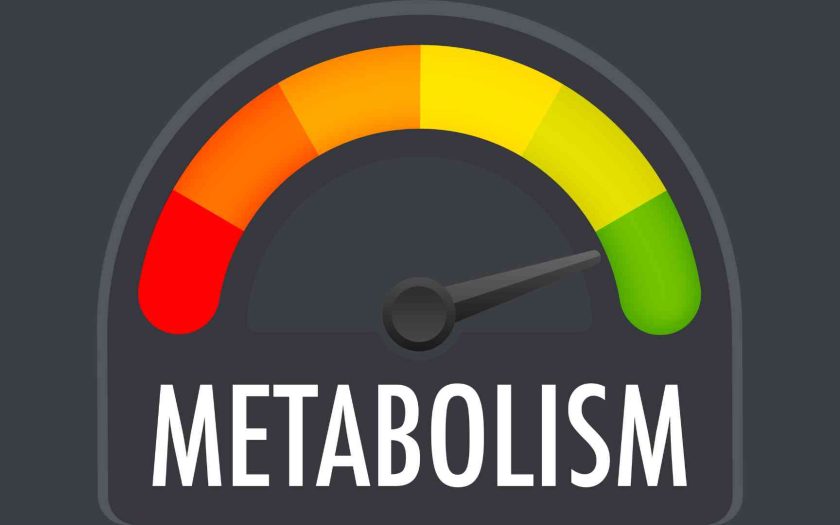 metabolisme